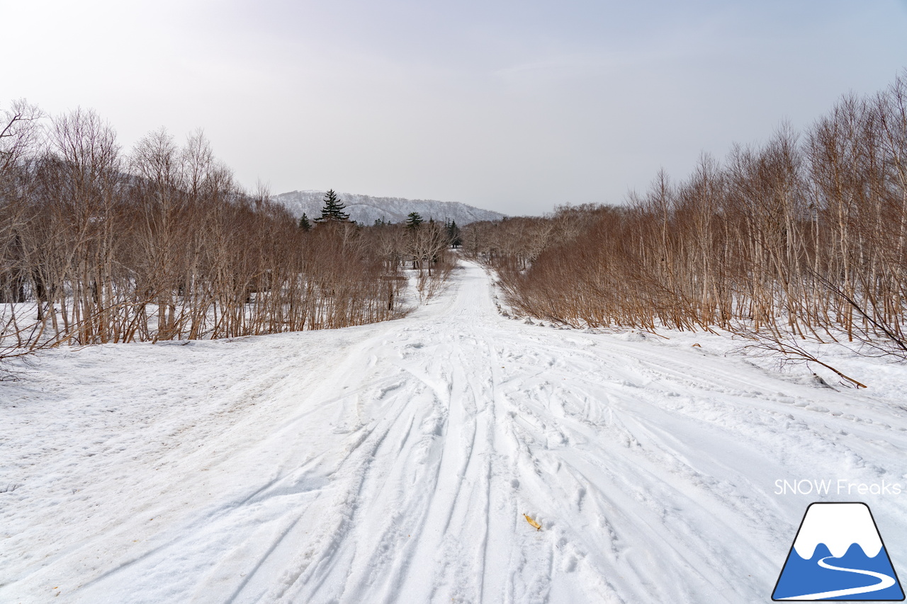 キロロリゾート｜初夏の陽気に耐えて、何とかGWまで持ってくれたキロロの雪…。さぁ、キロロゴンドラに乗って、山頂から山麓まで続く全長4,000ｍ超のロングランを楽しみましょう！